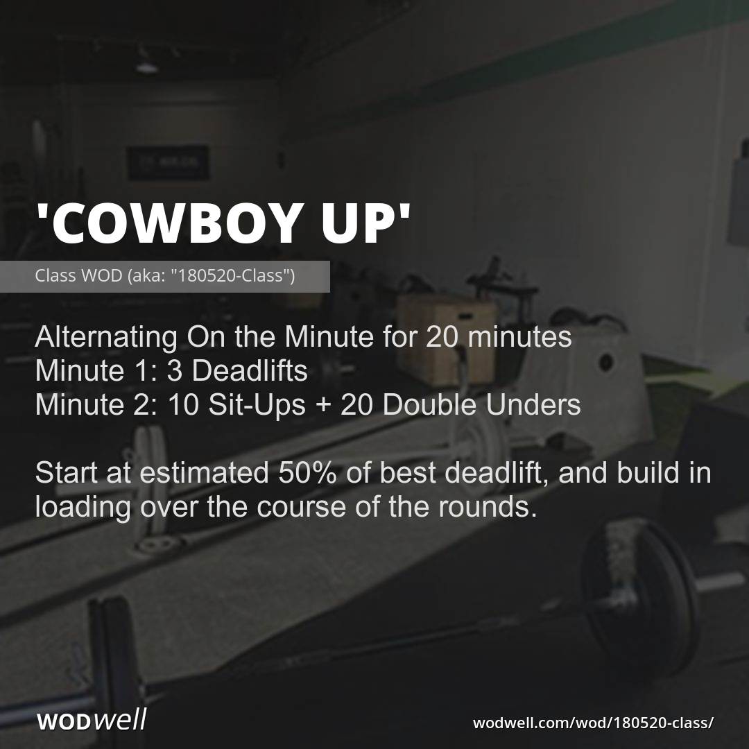 Wod easy cheap