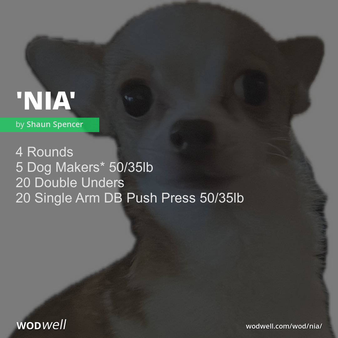 NIA Workout Coach Creation WOD WODwell nia workout coach creation wod wodwell