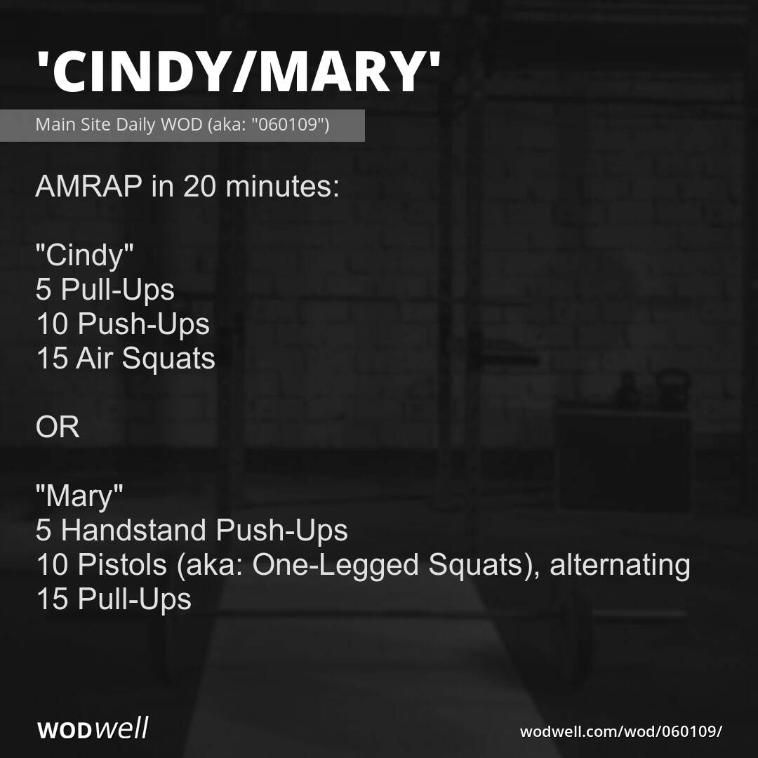 511-81399 parche wod cindy de 511