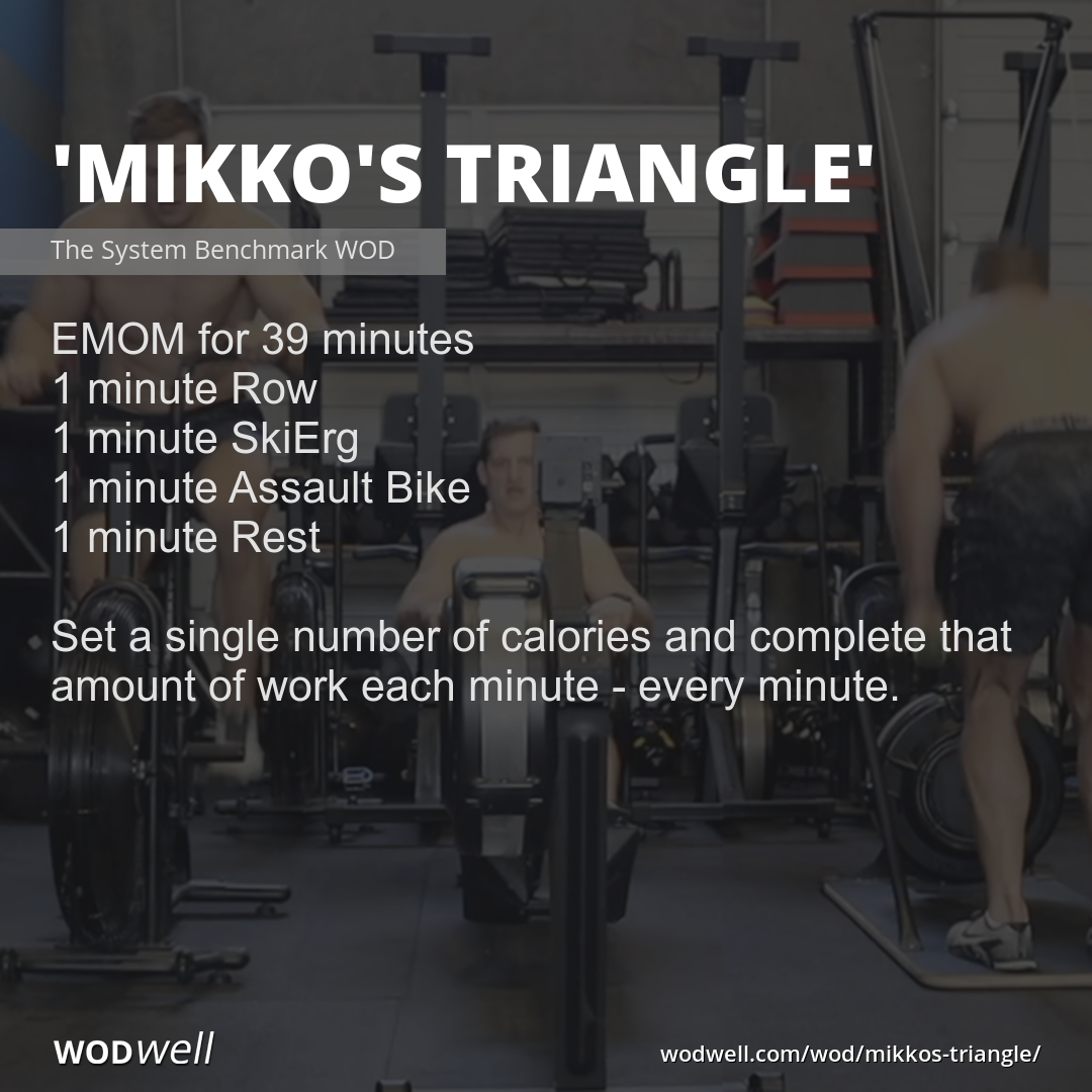 Bike row ski workout sale