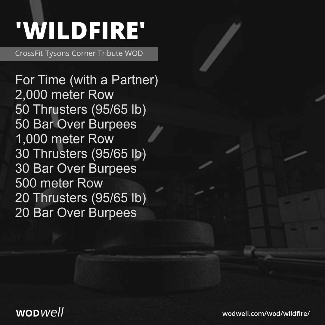 Partner rowing 2025 workout crossfit