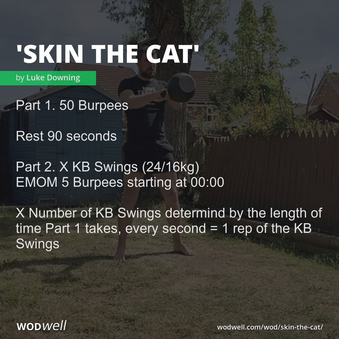 "Skin the cat" Workout, Coach Creation WOD WODwell