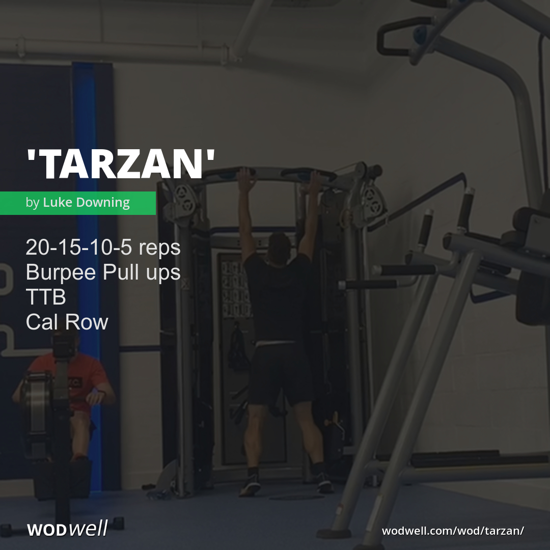 Burpee pull up discount workout