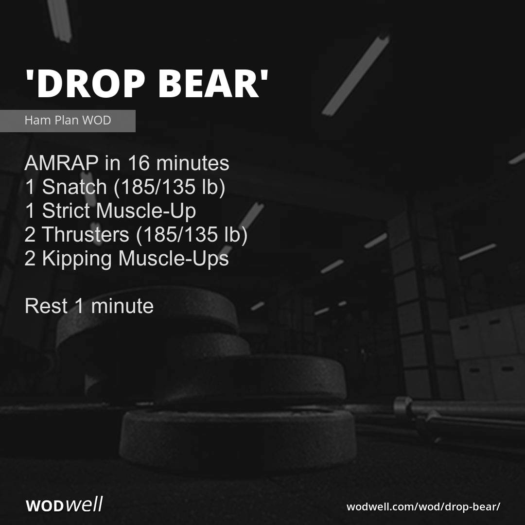 "Drop Bear" Workout, Ham Plan WOD WODwell