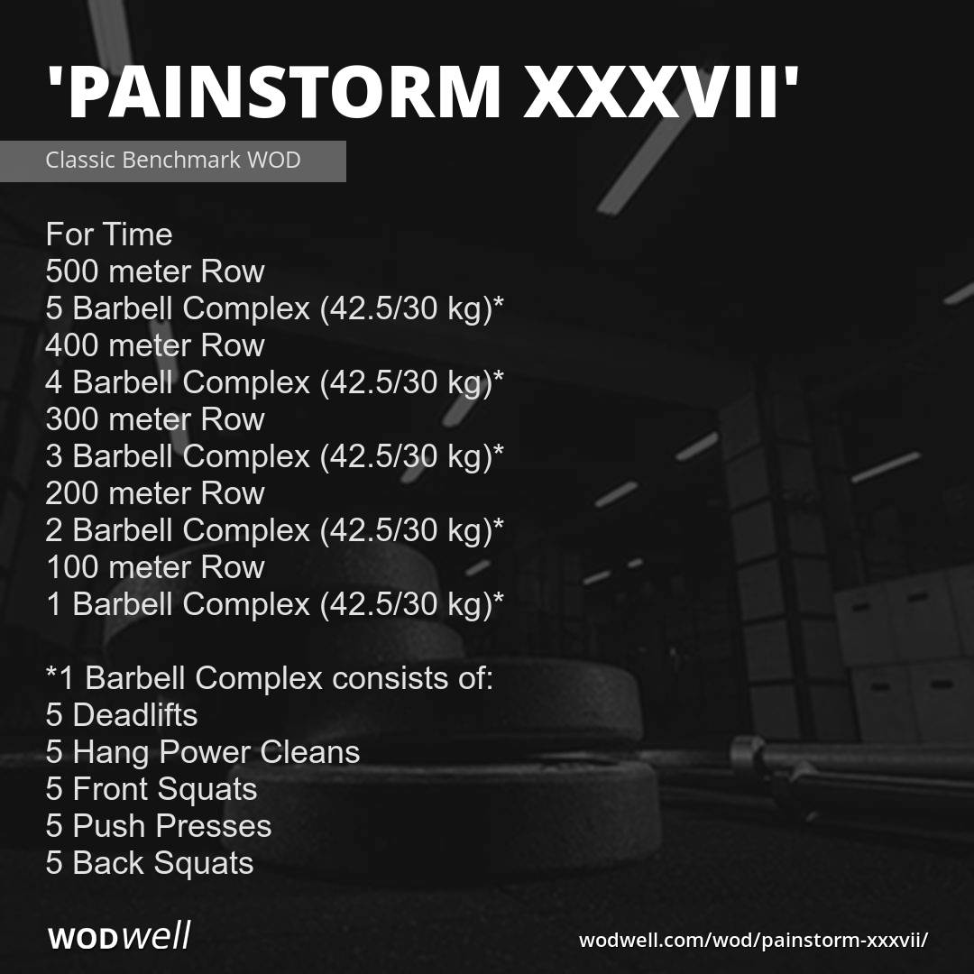 &quot;Painstorm XXXVII&quot; Workout, CrossFit WOD WODwell