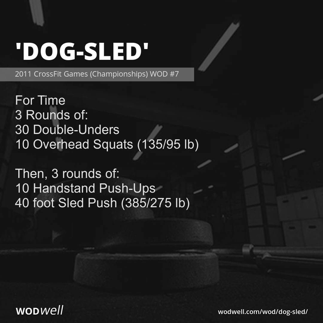 Sled best sale dog crossfit