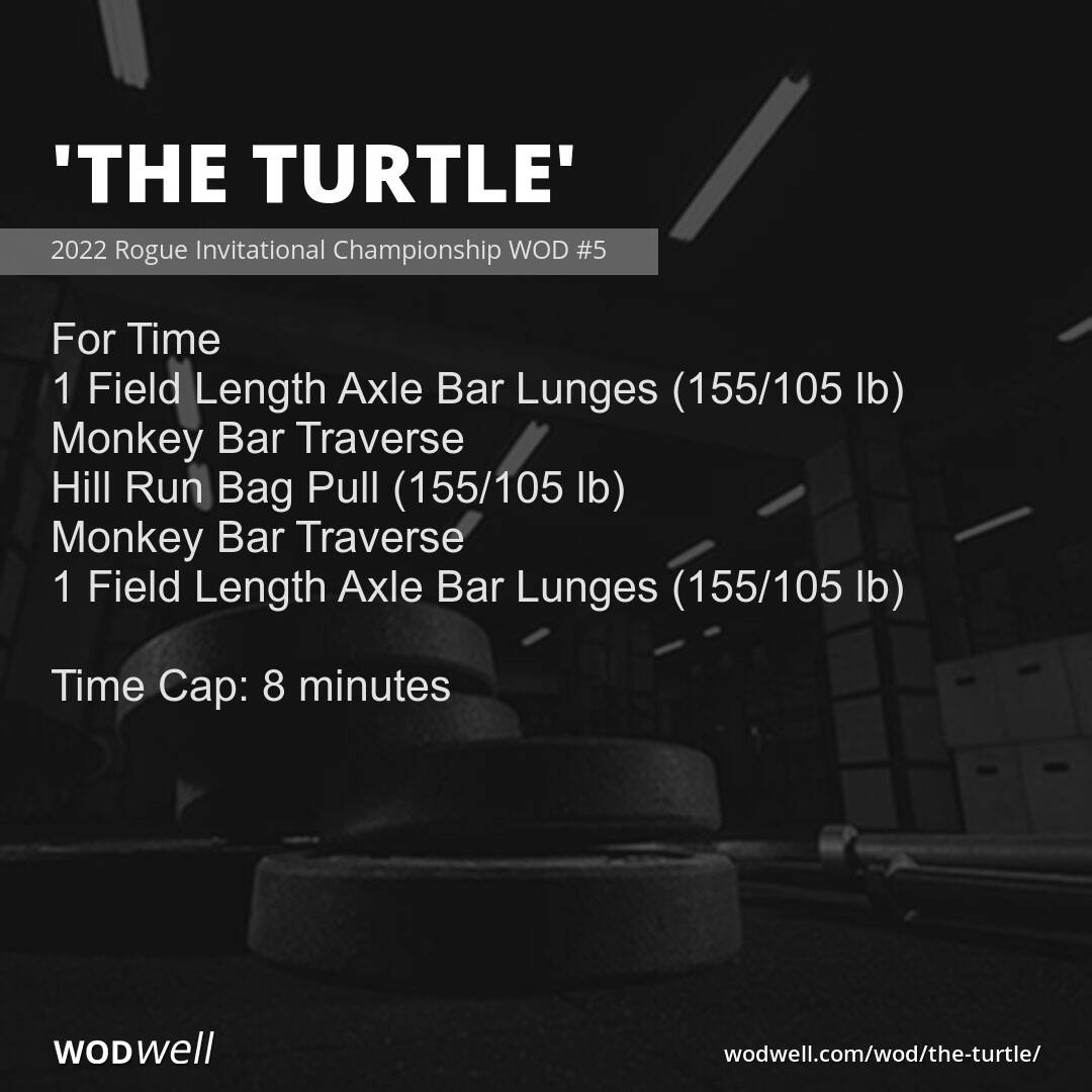 Rogue invitational, The Turtle event 4, anyone know which sandbag rogue ...