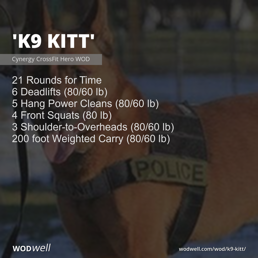K9 Log