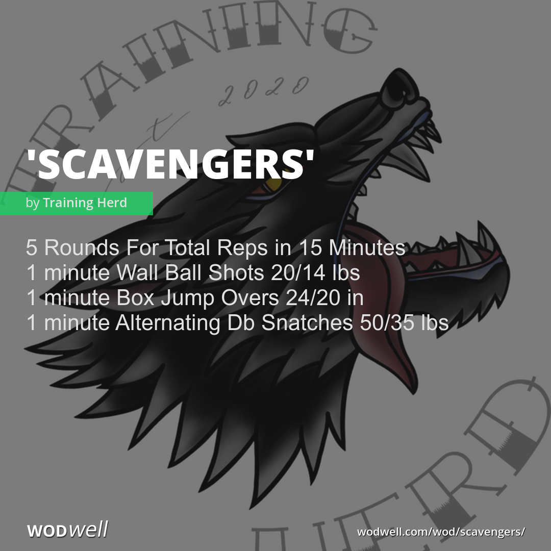 Scavengers Workout Coach Creation WOD WODwell scavengers-workout-coach-creation-wod-wodwell